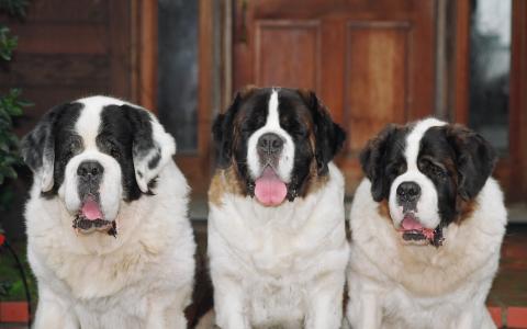 謝鵬松UFX2WQXK相關圖片