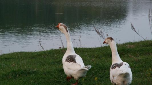 許順龍LQYYKG3J相關圖片