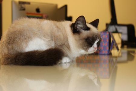 戴林俊DYFD22TP相關圖片