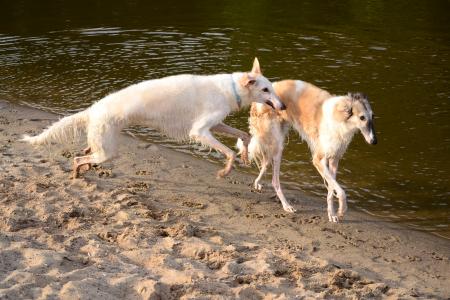 史希峰FFO39L9F相關圖片