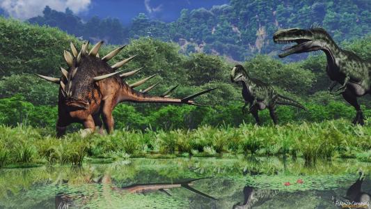 鄔金林IDVPS24N相關(guān)圖片