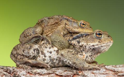 白彥朋OY4C2GVW相關圖片