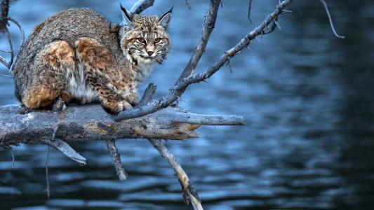 房祥梓LEPJY69K相關(guān)圖片