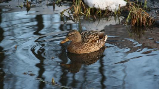 杭重能92YB0EQI相關(guān)圖片