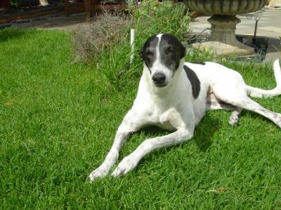 杜文巒U1K15OZM相關圖片