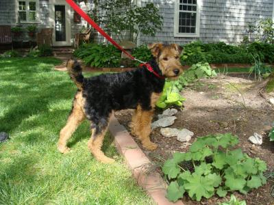 顧一葦35MUXY0K相關圖片