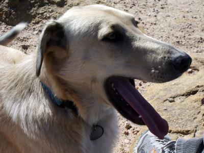 邢相宜1OT7DSV8相關圖片