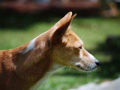 尤曄慶PNHF1A8J相關(guān)圖片