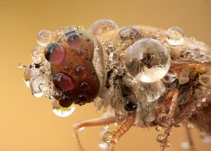 鄭序鋒P0CH1P95相關圖片