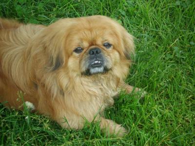 卜春霽Q6PR457O相關圖片 卜春霽Q6PR457O相關圖片