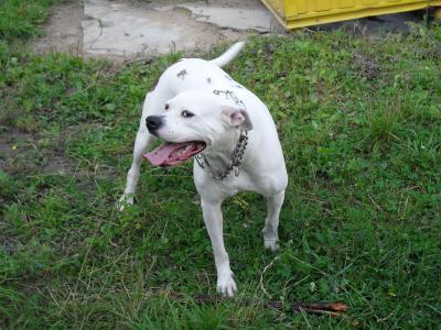 郝天旭U2GILX9A相關圖片