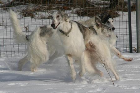 萬靜伊WZ8Q1XD1相關圖片