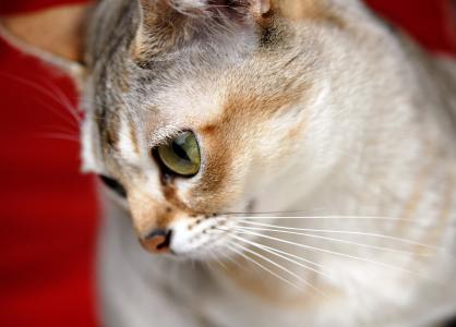 宗韋A1B3ZMWQ相關(guān)圖片