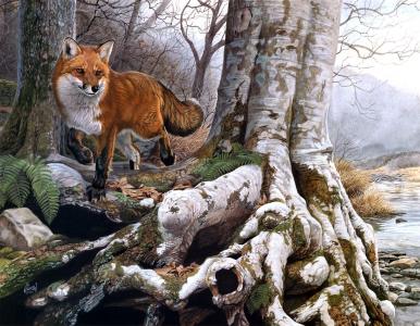 荀永學A013UHJ8相關圖片