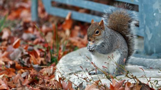 孫超權(quán)6GJ80XVD相關(guān)圖片