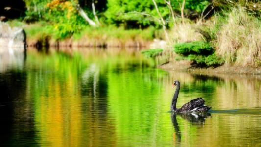 張子皓1GHBB407相關圖片