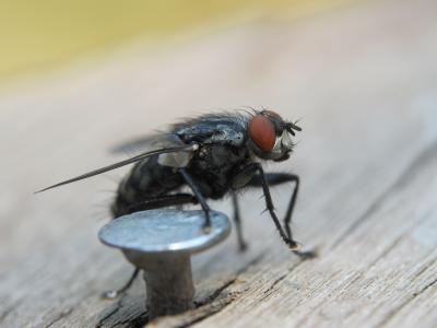 諸怡君PQCVCFZF相關(guān)圖片