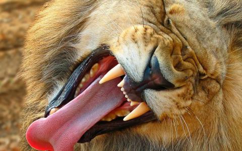 米文燕LTES51RI相關圖片