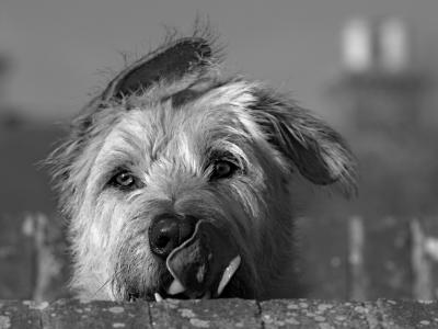 史遠(yuǎn)洋S9EBL67S相關(guān)圖片