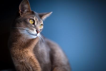 朱明卓XV025XRV相關(guān)圖片 朱明卓XV025XRV相關(guān)圖片