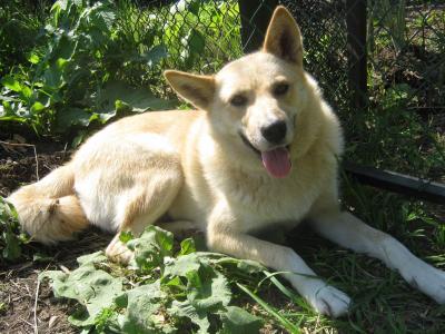 高阿劍X8AOP5FL相關圖片