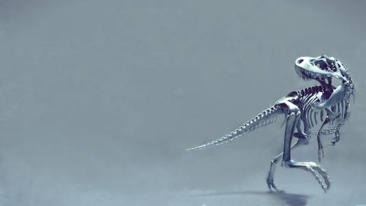 滕春麗NTASASBY相關圖片