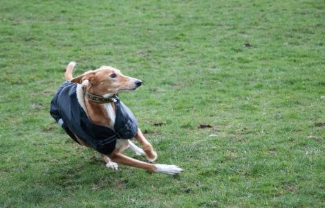 鐘一飛WIMGOEJ6相關圖片