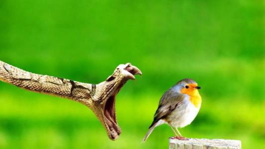 安加寧WPGI30UV相關圖片 安加寧WPGI30UV相關圖片