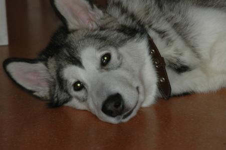 江聞杰1BLG0P5M相關(guān)圖片