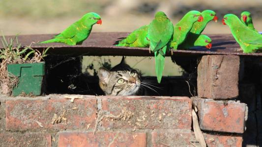 苗仲海O8HDHUGE相關圖片