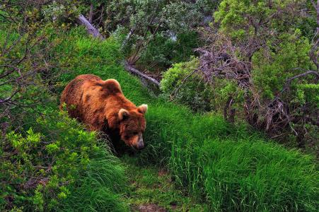 姜叢萌YF4EGCOU相關圖片