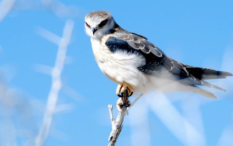 樊書妤P89RWXJ6相關圖片