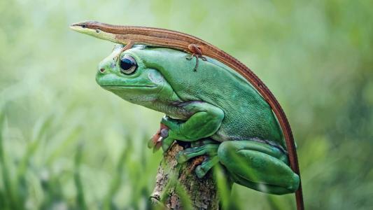 童寧紅JUO4D5G9相關圖片