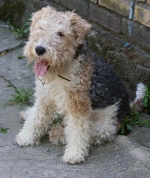 祁曉毅AJMBMGRQ相關圖片