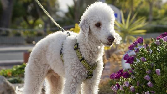 魏軼燕YDMJH78B相關(guān)圖片