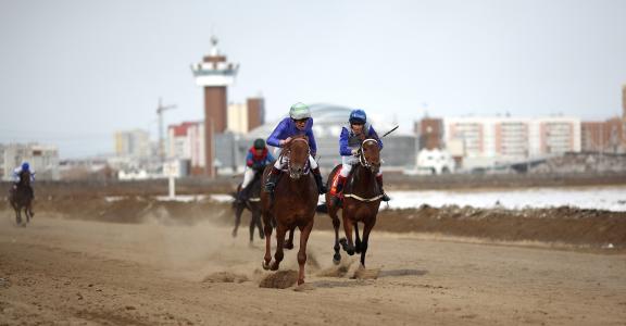 路傳周221H3CZK相關(guān)圖片