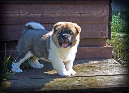 葛嘉琦L3UWE0S2相關圖片