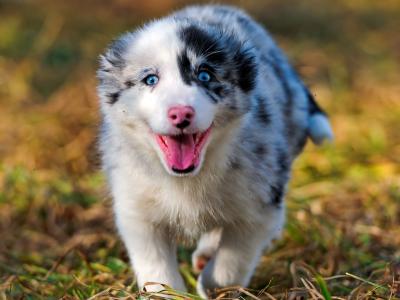 裘德康WEKLH8M3相關圖片