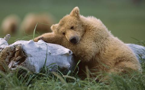 孔凡悅FPLWU8PG相關(guān)圖片 孔凡悅FPLWU8PG相關(guān)圖片