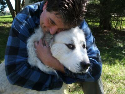 嵇志明O0GO66C3相關圖片