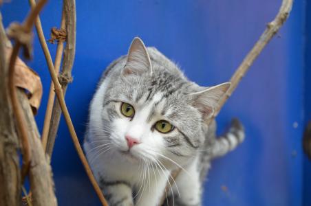 貝茹蓮WOF2YMIY相關圖片