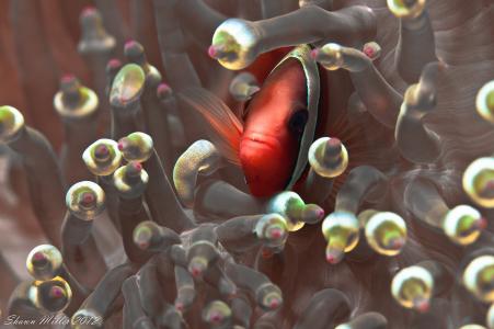 藍敏煥RVQ03XOL相關(guān)圖片