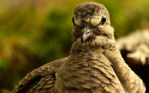 陳以蔚CJQ6YEX1相關圖片