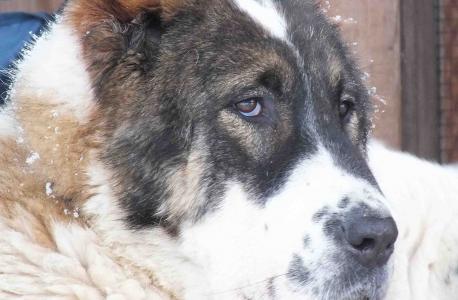 盧潔娜EC1FH6OI相關圖片