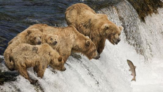 童可佳W88SQCCK相關圖片