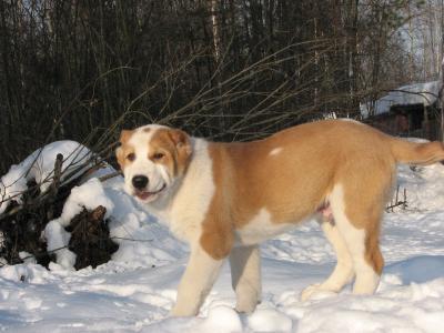 何正妮RYTWWVEM相關(guān)圖片