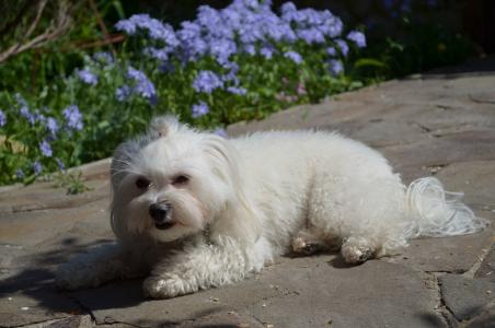 昌詠紅Y6DVROQP相關圖片