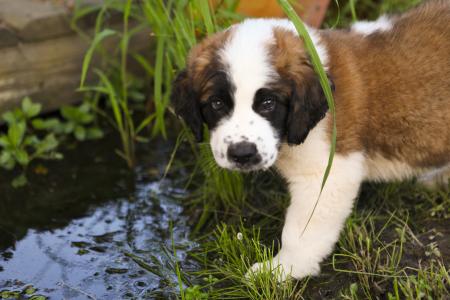 貝永土49NGDGB6相關(guān)圖片