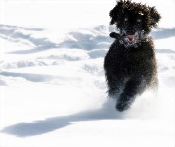 倪錫藩M4W1W9HW相關圖片