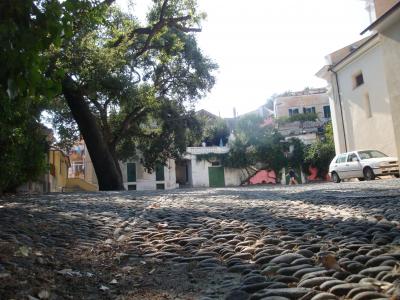 安秉華L9MR2LGV相關圖片